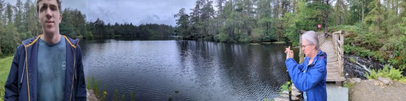 Low and High Dam, Finsthwaite