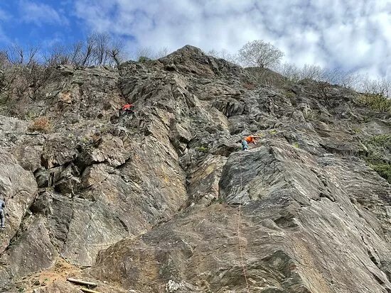 Palestra Comunale Della Sassella