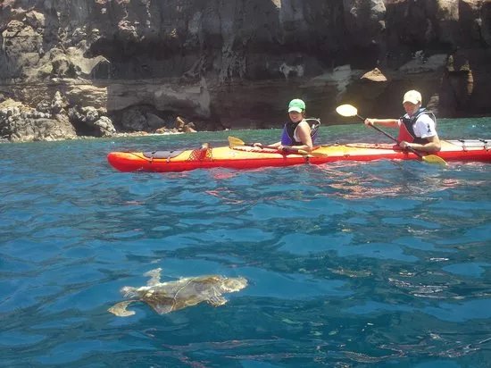 Santorini Sea Kayak
