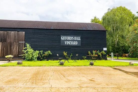 Giffords Hall Vineyard