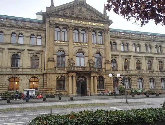 Museum Koenig
