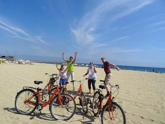 Orange Monkey Tours