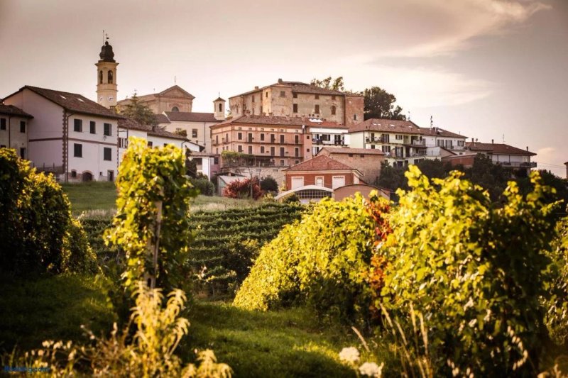 Villa Vinory Tenuta il Sogno