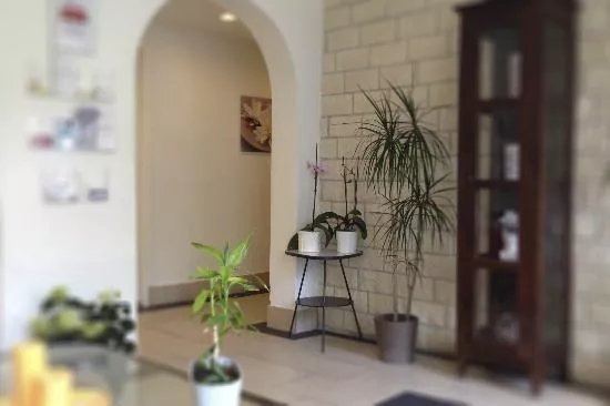 Zenzes Wellness