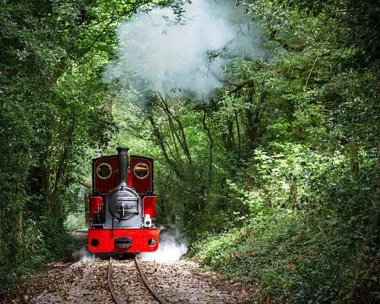 Perrygrove Railway Adventure