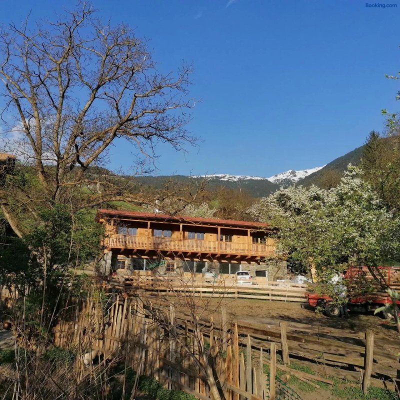 Neue Ferienwohnungen Auf Dem Gebreitnerhof, Urlaub Auf Dem Bauernhof