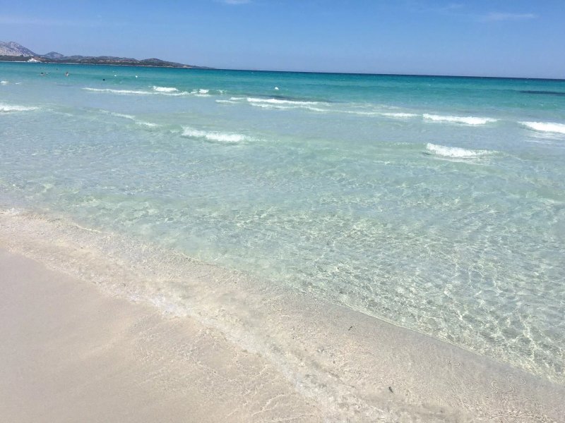 San Teodoro Oasi