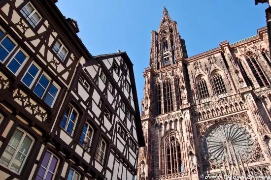 Food & City Tours