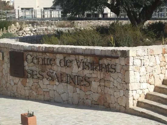 C.R.I.C. Ses Salines