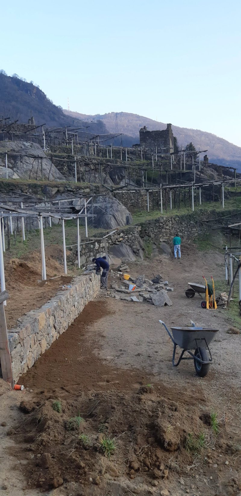 Azienda Agricola Giovanetto