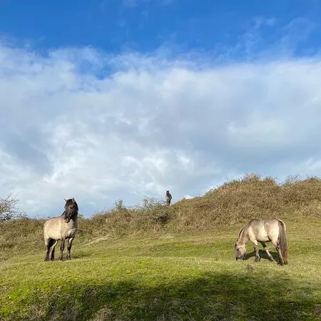 Natuurgebied Oranjezon