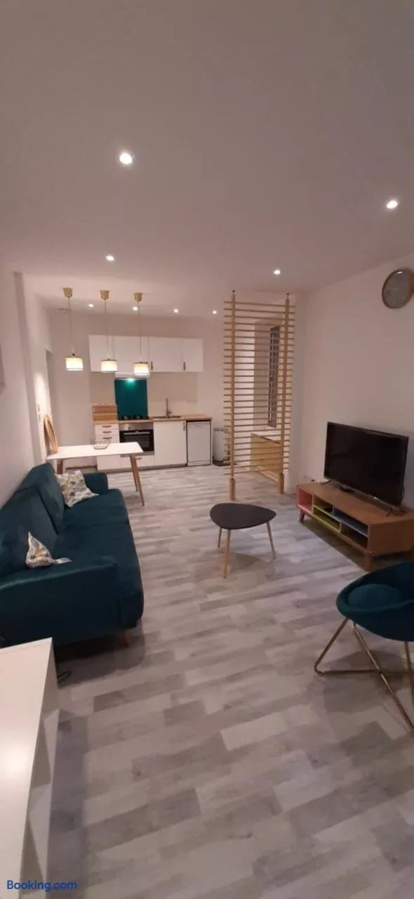 Colocation Maison - Villeurbanne Près De Lyon