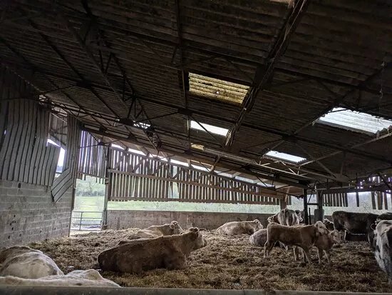 Ferme Pedagogique du Lieu Roussel