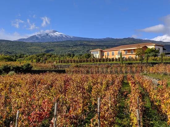 VIVERA Etna Winery