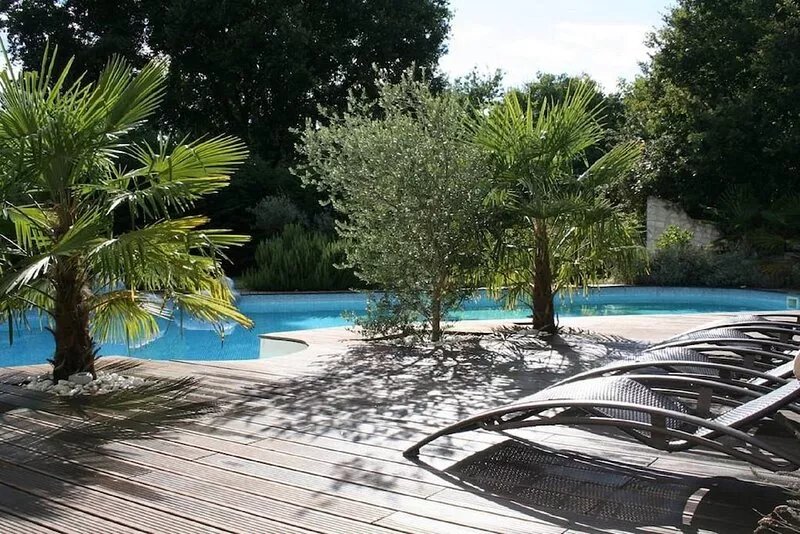 Villa near Chinon for 9 people with heated pool