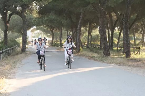 Bicicletas Valdes