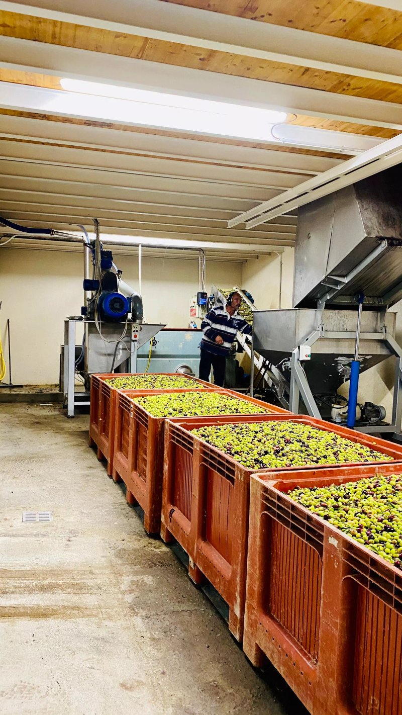 Le Moulin a Olives d'Eguilles