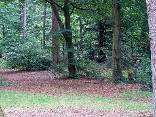 Speelbos Emmerdennen