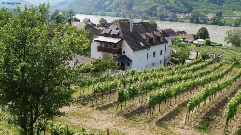Weinbau Und Gastezimmer Pammer