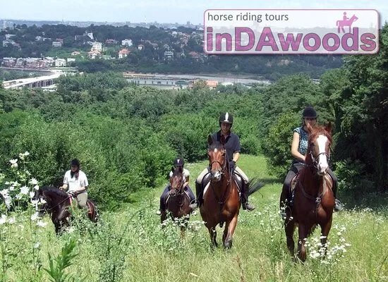 Indawoods Horse Riding Tours