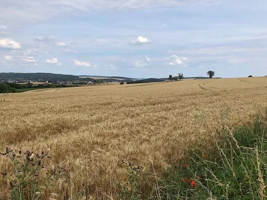 Hohlen und Schluchtensteig