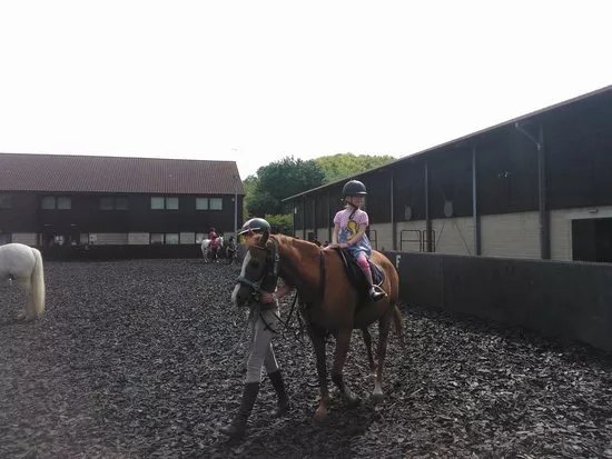 The Docklands Equestrian Centre