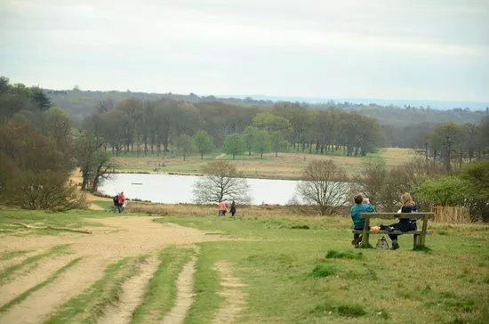Richmond Park