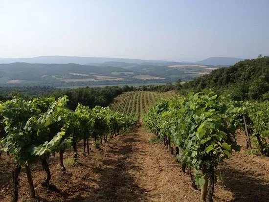 Domaine la Coume-Lumet