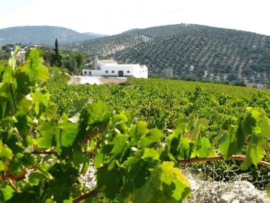 Bodegas Lagar Blanco