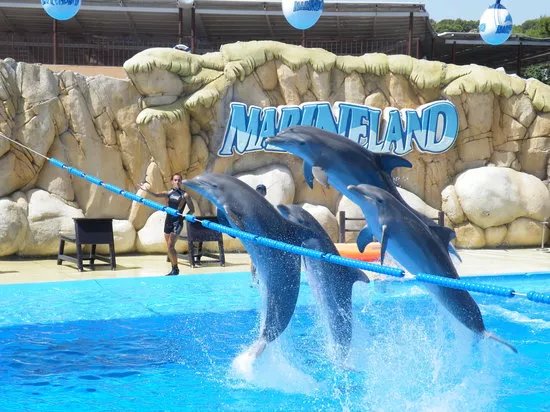 Marineland Majorca