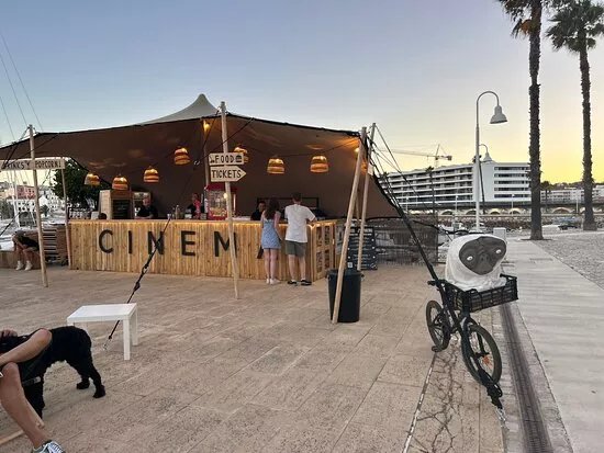 Creative Ape Outdoor Cinema