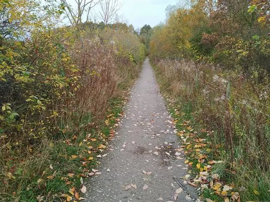 Skelton Lake Country Park