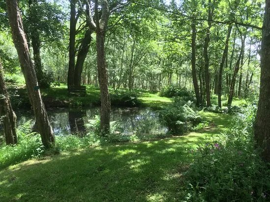 Stone Lane Gardens