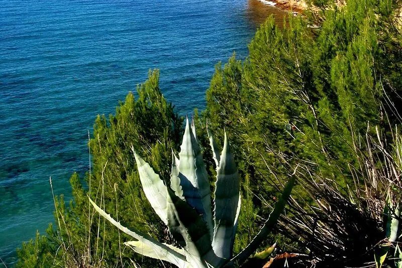Villa Bandol region in La Cadière d'azur