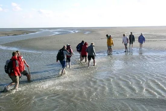 Wattfuehrergemeinschaft Dithmarscher Nordseekueste