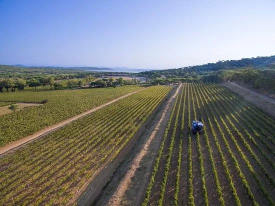 Domaine des Tournels