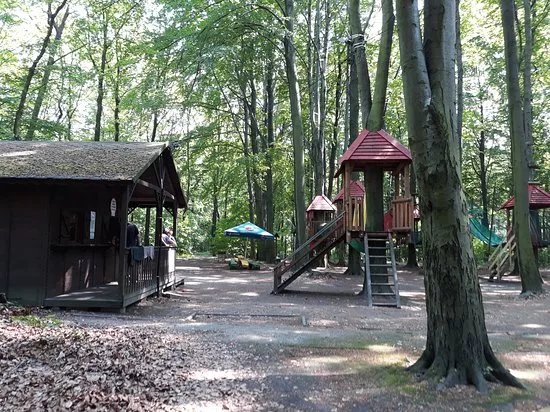 Park linowy Lesna Przygoda