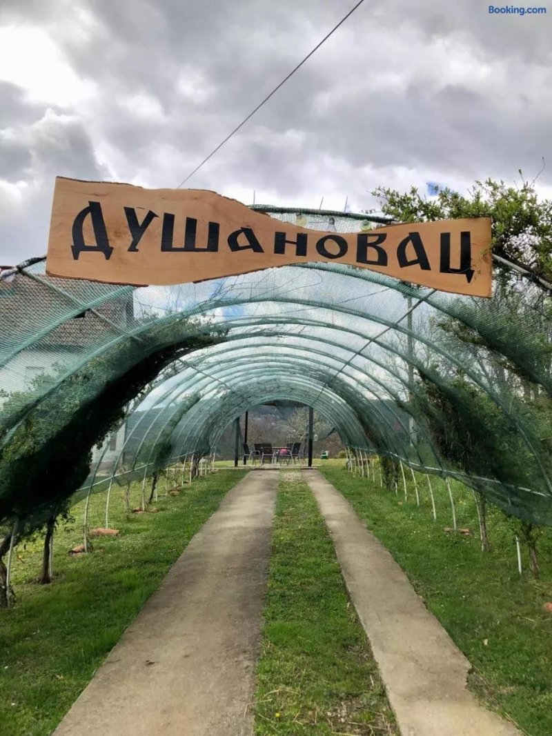 Dusanovac