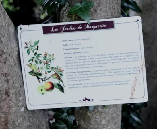 Jardin Marguerite De Bourgogne