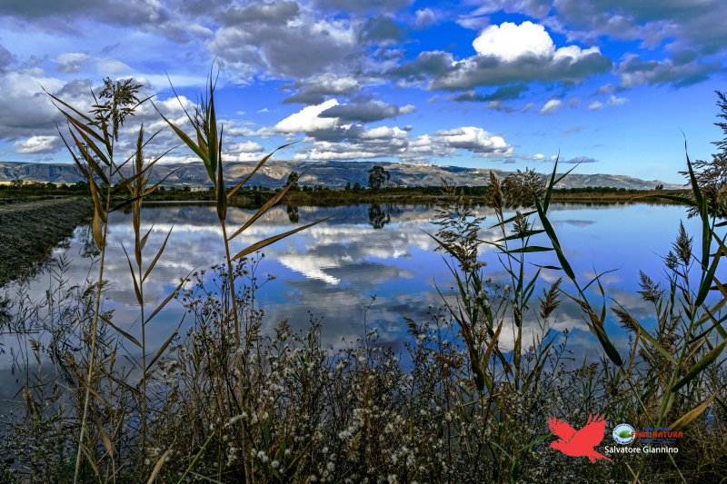 Oasi Laguna del Re
