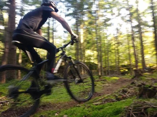 Cykelslingor i Lingonbacken