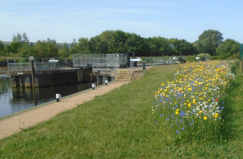The Wellingborough To Ditchford Nene Way Walk.