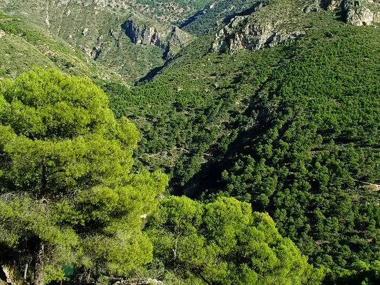 Red de Senderos de la Sierra de Gador