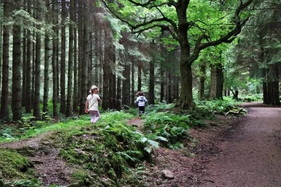 Beecraigs Country Park