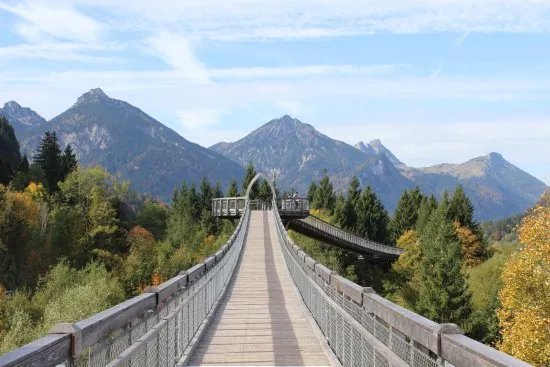 Baumkronenweg Ziegelwies