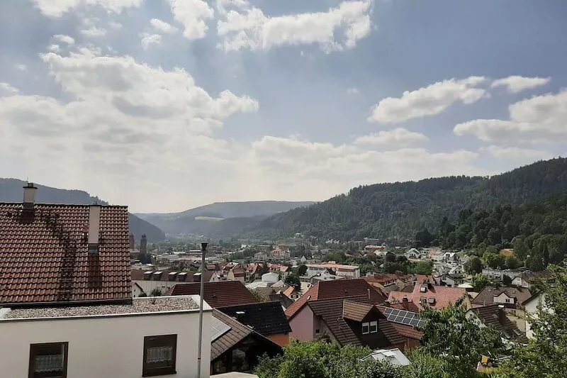Vacation apartment in Eberbach with a view of the Neckar - between hiking