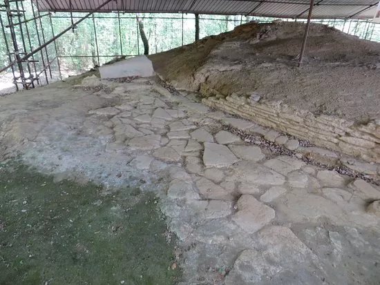 Etruscan necropolis of Prato Rosello