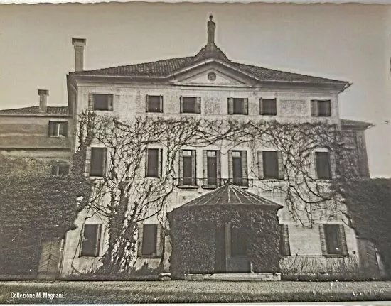 Villa Molena, Levi, Vivante, Errera