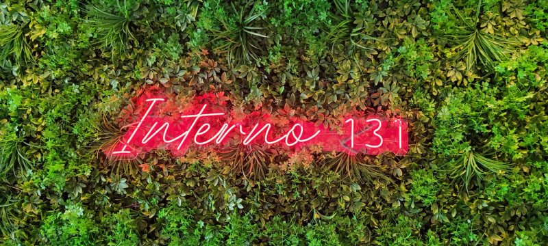 Interno 131