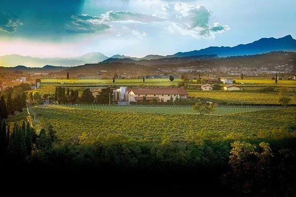 Societa Agricola Rino Sartori